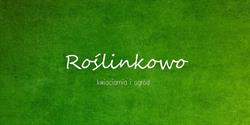 Roślinkowo kwiaciarnia i ogród s.c, Kraków godziny otwarcia