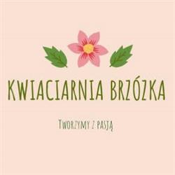 KWIACIARNIA BRZÓZKA, Bydgoszcz godziny otwarcia