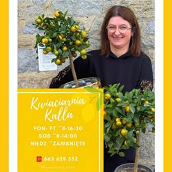 KWIACIARNIA KALLA, Strzelin godziny otwarcia