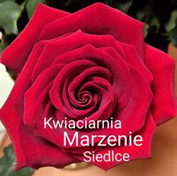 KWIACIARNIA MARZENIE, Siedlce godziny otwarcia
