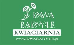 Kwiaciarnia Dwa Badyle Renata Głowacka, Piastów godziny otwarcia
