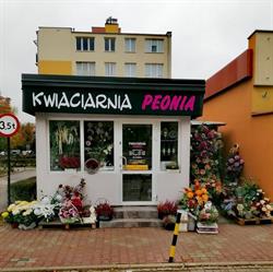 Kwiaciarnia "Peonia" Marzena Zasuwa, Zamość godziny otwarcia