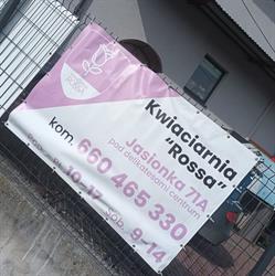 KWIACIARNIA ROSSA, Jasionka godziny otwarcia