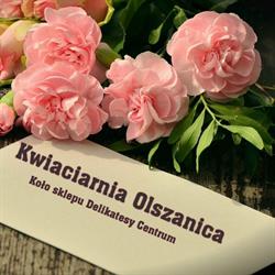 Kwiaty w Olszanicy, Olszanica godziny otwarcia