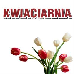 KWIACIARNIA KARDAS MICHAŁ KARDAS, Rozprza godziny otwarcia