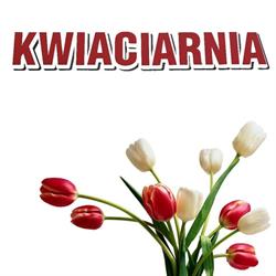 KWIACIARNIA KARDAS MICHAŁ KARDAS, Rozprza godziny otwarcia