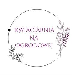 "Kwiaciarnia na Ogrodowej" Lido-Art, Poznań godziny otwarcia