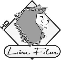 LION FILM, Rzeszów godziny otwarcia