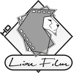 LION FILM, Rzeszów godziny otwarcia