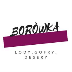 LODZIARNIA BORÓWKA MARZENA HERTMAN, Siedlce godziny otwarcia