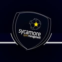 "Management Consulting" Sp. z o.o., Katowice godziny otwarcia
