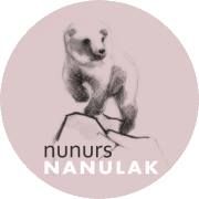 Niepubliczny Punkt Przedszkolny NANULAK brak, Kraków godziny otwarcia
