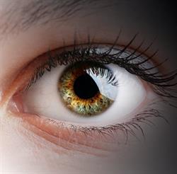 Optyk - Optometrysta, Bochnia godziny otwarcia