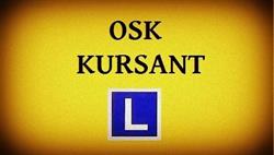 OŚRODEK SZKOLENIA KIEROWCÓW KURSANT FIRMA HANDLOWO USŁUGOWA, Krzemieniewo godziny otwarcia