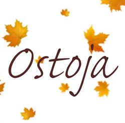 OŚRODEK OPIEKUŃCZY OSTOJA, Szczecin godziny otwarcia