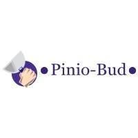 PINIO BUD, Złotoryja godziny otwarcia