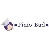 PINIO BUD, Złotoryja godziny otwarcia