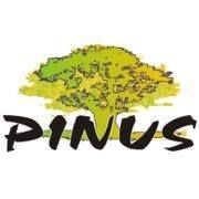 PINUS, Końskie godziny otwarcia