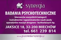 PRACOWNIA BADAŃ PSYCHOLOGICZNYCH I TERAPII SYNERGIA, Miechów godziny otwarcia
