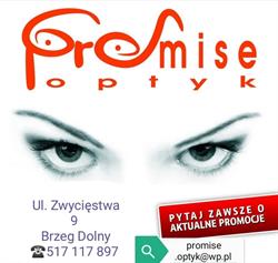 PROMISE OPTYK, Brzeg Dolny godziny otwarcia