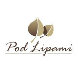 POD LIPAMI PENSJONAT W MIERZYNIE, Mierzyn godziny otwarcia