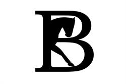 Przedsiębiorstwo Usługowo-Handlowe "Stajnia Stolarzowice" Barbara Kapsa, Bytom godziny otwarcia