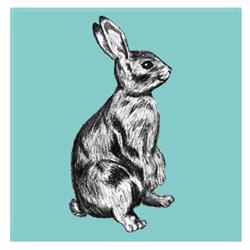 RABBIT STUDIO, Białystok godziny otwarcia