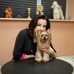 SALON PIELĘGNACJI PSÓW PAPILOT, Lublin godziny otwarcia