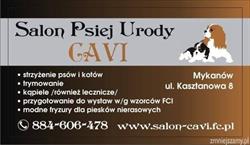 Salon Psiej Urody CAVI Monika Matusiak, Mykanów godziny otwarcia