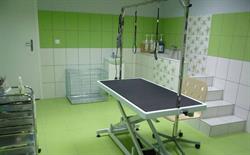 Salon Pielęgnacji Zwierząt Marzena Murawska-Tomczak, Jelenia Góra godziny otwarcia