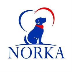 SKLEP ZOOLOGICZNY NORKA, Warszawa godziny otwarcia