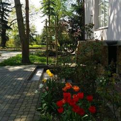 SŁONECZNE WZGÓRZE, Dzierzgoń godziny otwarcia