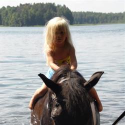 STADNINA KONI KLONEK, Mikołajki godziny otwarcia
