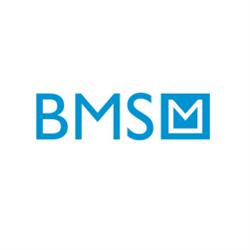 BMS BUDOWA MASZYN SPECJALNYCH, Wodzisław Śląski godziny otwarcia