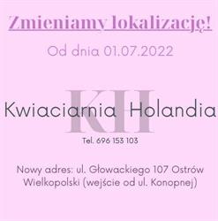 KWIACIARNIA HOLANDIA, Ostrów Wielkopolski godziny otwarcia