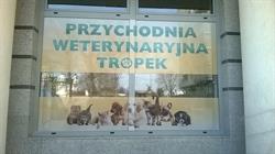 Przychodnia Weterynaryjna TROPEK Katarzyna Żakiewicz, Białystok godziny otwarcia