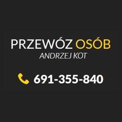 Przewóz Osób "Mini Bus" Kot Andrzej, Bytom godziny otwarcia