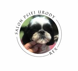 Salon psiej urody rex groomer, Bytów godziny otwarcia