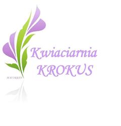 "Krokus" Kwiaciarnia Bartosz Urban, Zbąszyń godziny otwarcia