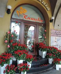 "Kamelia" Kwiaciarnia Małgorzata Matusz, Jarosław godziny otwarcia