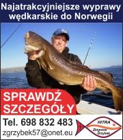 Zbigniew Grzybek HITRA, Jaworzno godziny otwarcia