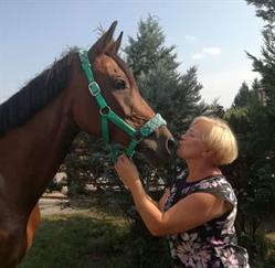 Małgorzata Dobrut Ośrodek Hippiczno Rekreacyjny Bretania, Krasnobród godziny otwarcia