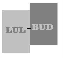 LUL-BUD Przedsiębiorstwo Budowlane, Mosina godziny otwarcia