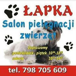 Łapka - Salon Pielęgnacji Zwierząt / Groomer / Strzyżenie Psów / Psi Fryzjer, Oleśnica godziny otwarcia