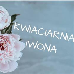 Iwona Kasperek Kwiaciarnia Iwona, Osiek godziny otwarcia