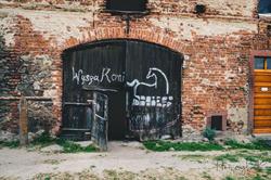 WYSPA KONI Piotr Zabuski, Ostroszowice godziny otwarcia