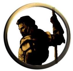 Agencja Ochrony Osób i Mienia Ronin's'., Pabianice godziny otwarcia