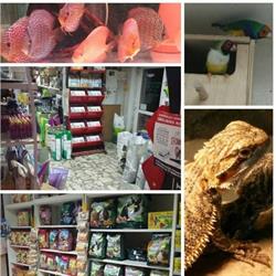 Sklep zoologiczny ZOOLAND, Poznań godziny otwarcia