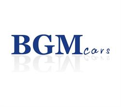 Bgm Cars Grzegorz Sosna, Rybnik godziny otwarcia