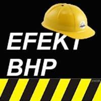 Firma Doradczo-Szkoleniowa Efekt, Rybnik godziny otwarcia
